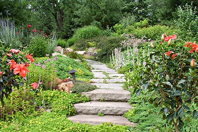 Nice garden